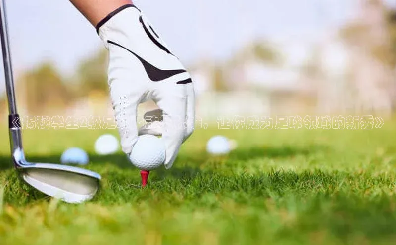 6688体育app登录注册光魔科技《揭秘学生2级足球运动员标准，让你成为足球领域的新秀》