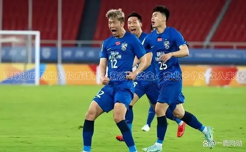 6688官方网站入口登录最新版每日互动足球运动员收入构成详解：薪资、奖金、商业合作等收入来源