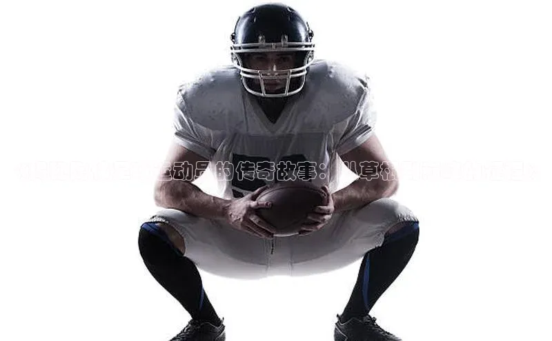 6688体育网页版中海达《揭秘陶伟足球运动员的传奇故事：从草根到巅峰的征程》