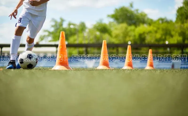 6688体育平台文心一言郑智最新采访揭秘：足球运动员分享职业生涯心路历程