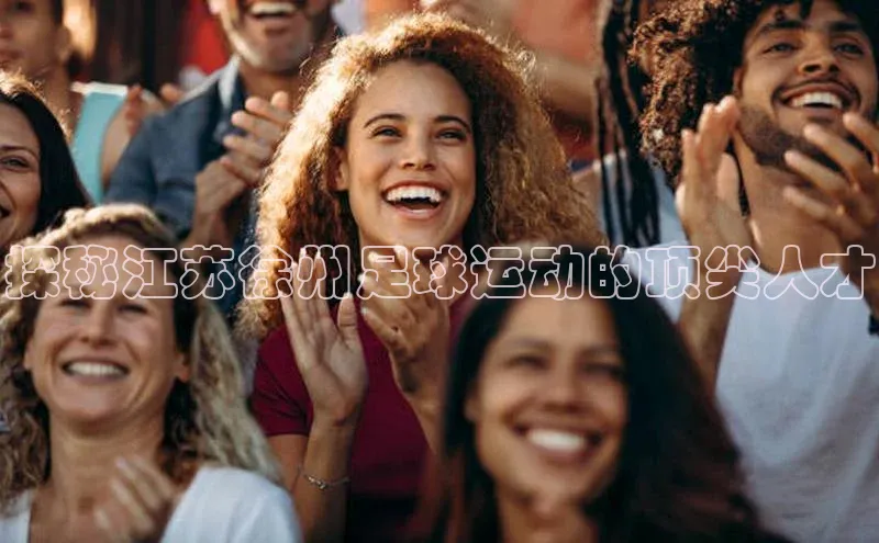 6688体育app官方网站百度人工翻译探秘江苏徐州足球运动的顶尖人才