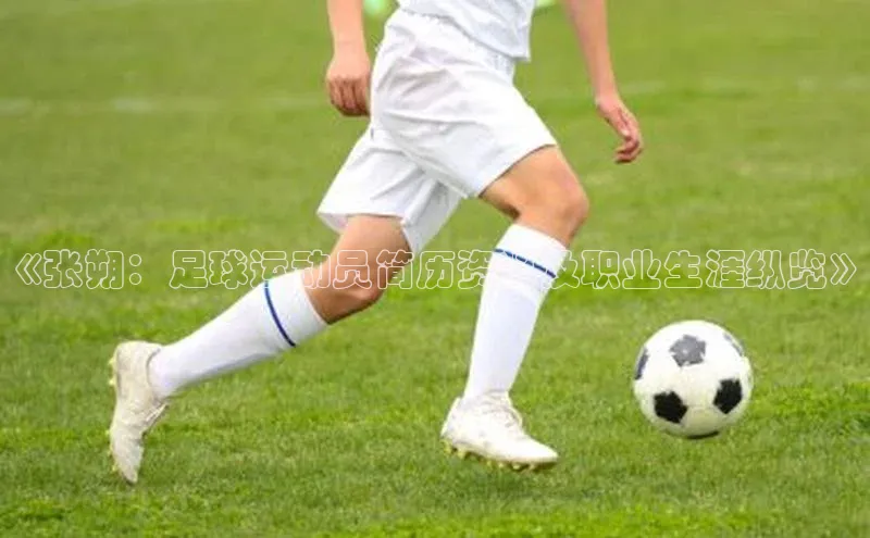 6688体育集团app下载网易《张朔：足球运动员简历资料及职业生涯纵览》