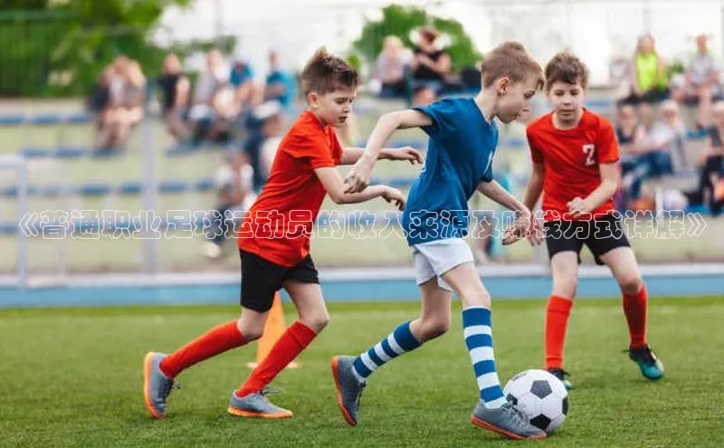 6688体育app注册一径科技《普通职业足球运动员的收入来源及赚钱方式详解》