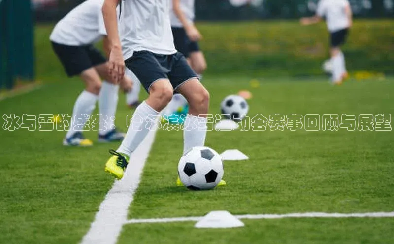 冰与雪的盛宴：哈尔滨冰雪运动会赛事回顾与展望