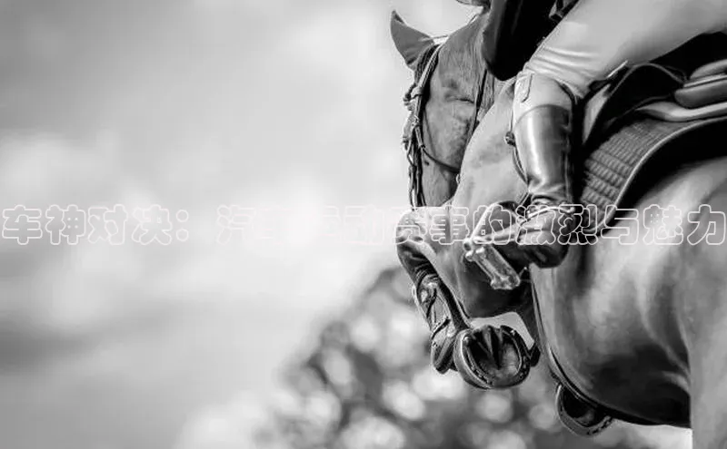 车神对决：汽车运动赛事的激烈与魅力