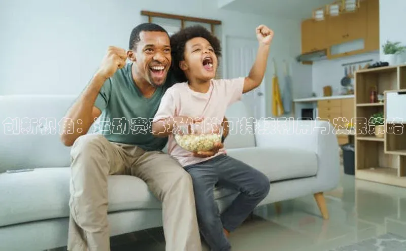 创新视角：运动赛事场馆的可持续利用与发展策略