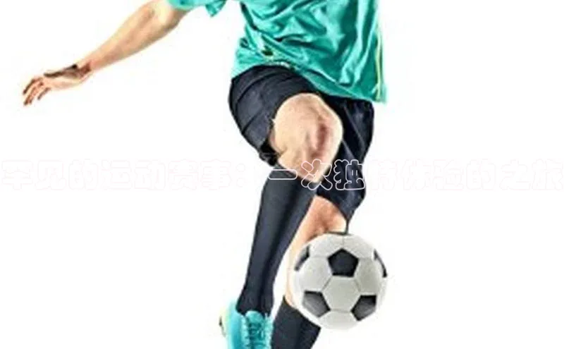 罕见的运动赛事：一次独特体验的之旅