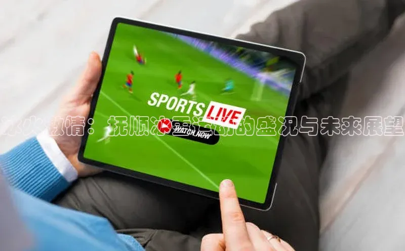 冰火激情：抚顺冰雪运动的盛况与未来展望