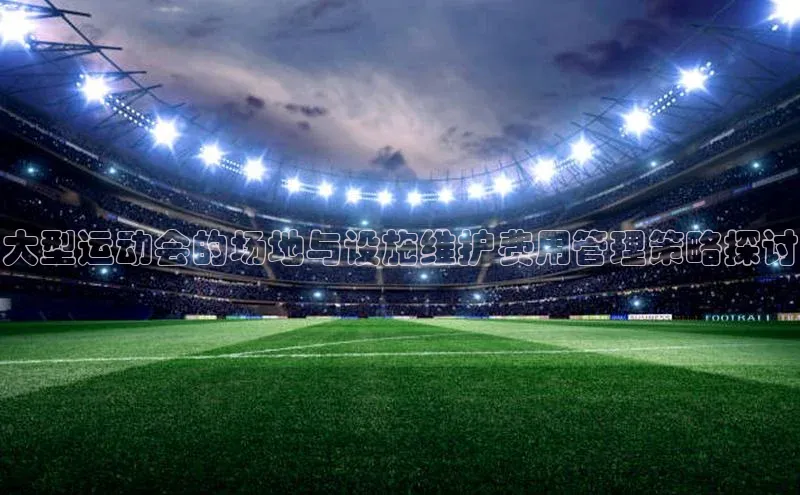 大型运动会的场地与设施维护费用管理策略探讨