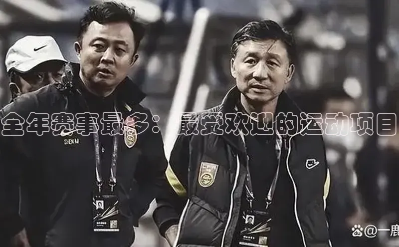 全年赛事最多：最受欢迎的运动项目