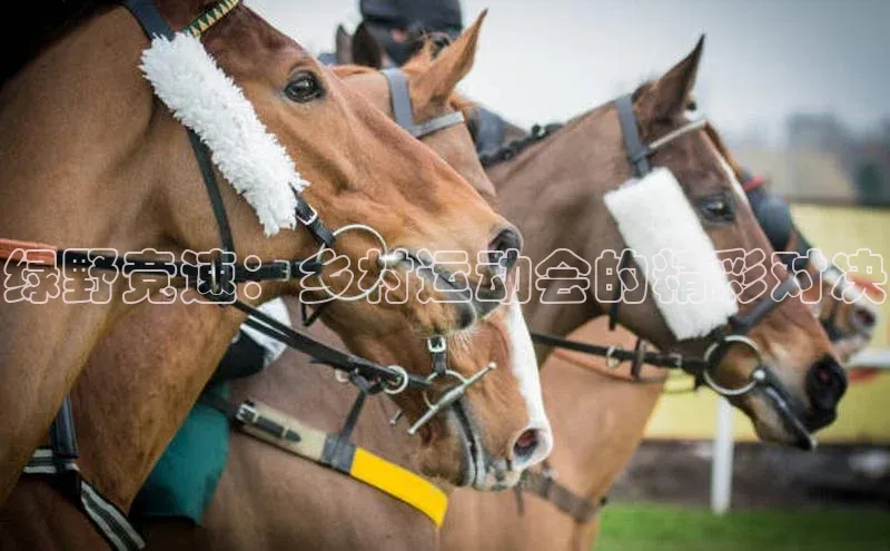 绿野竞速：乡村运动会的精彩对决