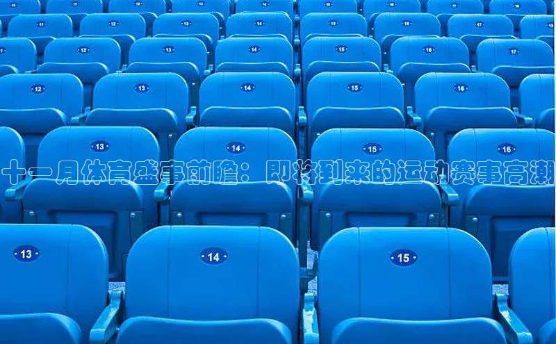 十一月体育盛事前瞻：即将到来的运动赛事高潮