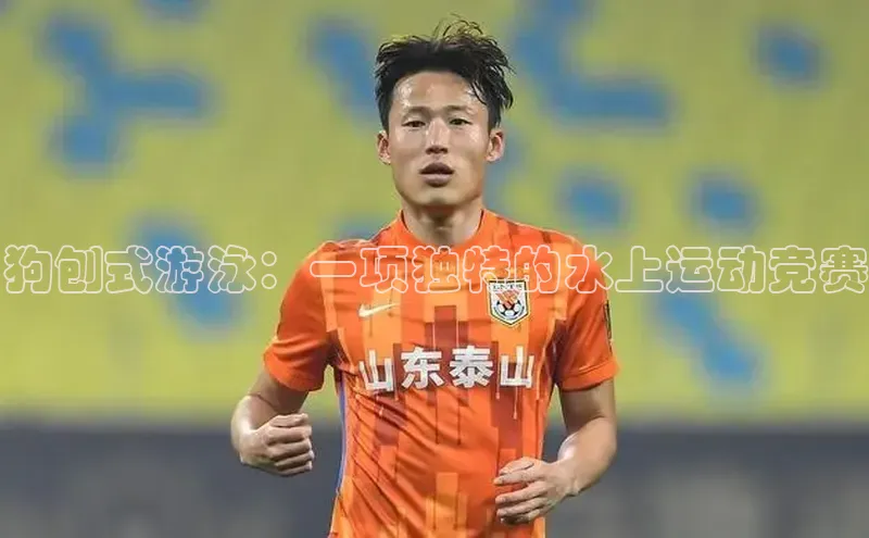 狗刨式游泳：一项独特的水上运动竞赛