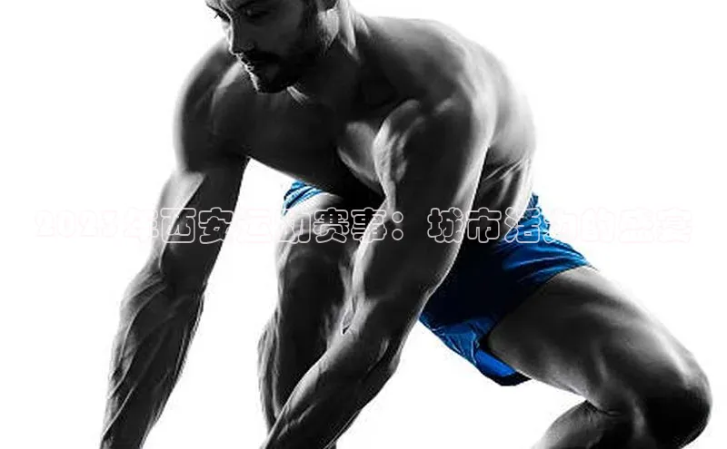 6688体育app最新版