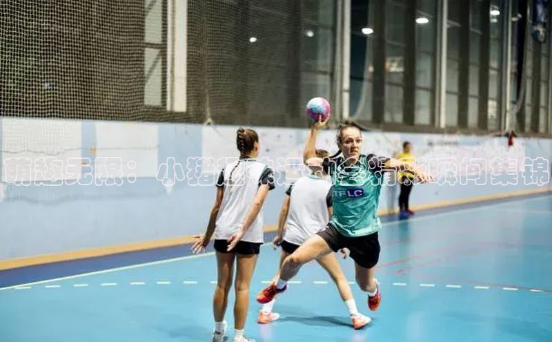 6688官方体育登录入口