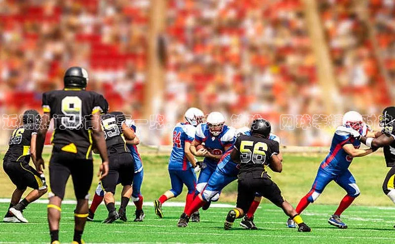 6688体育平台网页人口