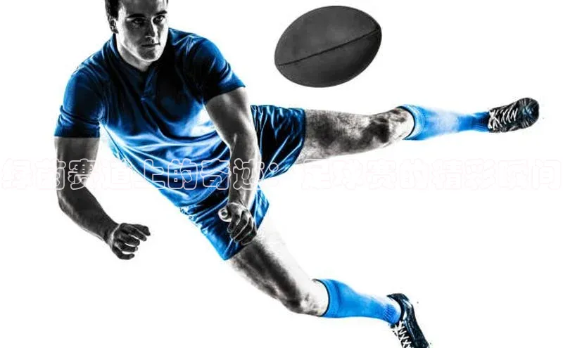 6688体育app的发展历程