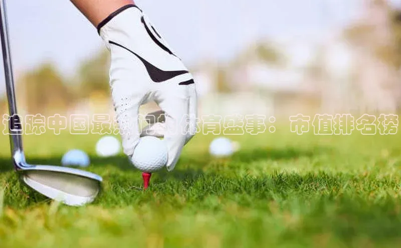 追踪中国最热门的体育盛事：市值排名榜